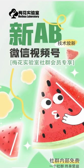 梅花实验室2024年AB技术视频号AB合成破解版-阿良资源网