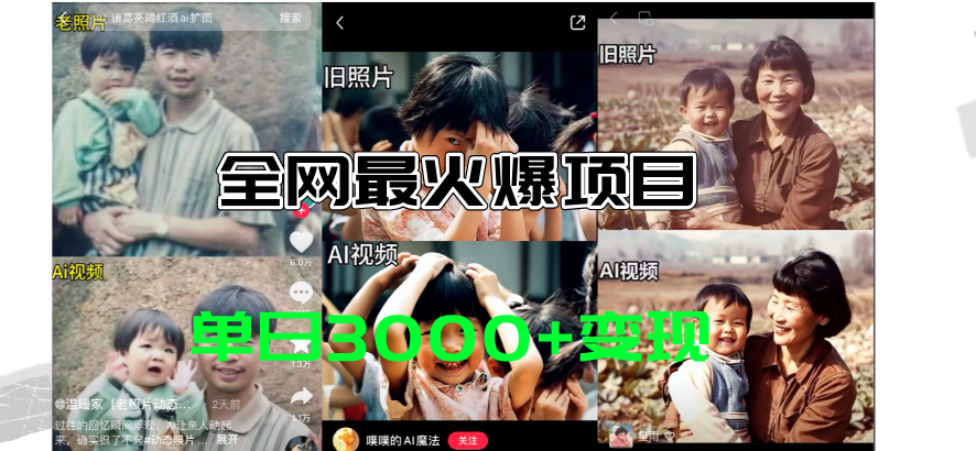 （11546期）全网爆火的AI让老照片动起来教程，蹭热点日赚3000+，内含免费工具一键…-阿良资源网