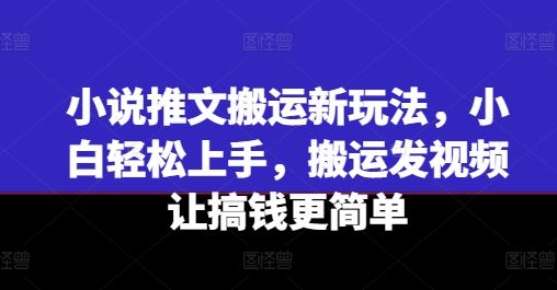 小说推文搬运新玩法，小白轻松上手，搬运发视频让搞钱更简单-阿良资源网