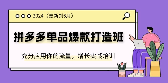 （11556期）2024拼多多-单品爆款打造班(更新6月)，充分应用你的流量，增长实战培训-阿良资源网