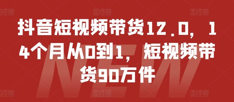 抖音短视频带货12.0，14个月从0到1，短视频带货90万件-阿良资源网
