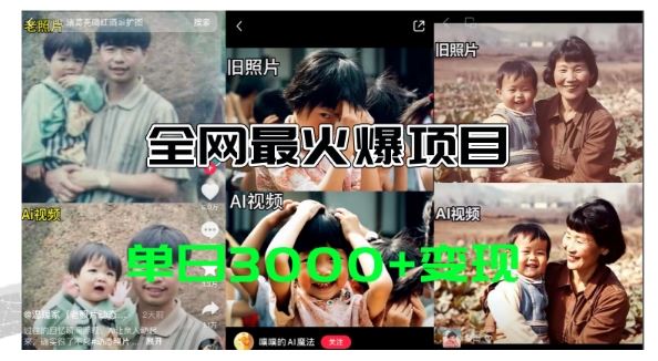 全网爆火的AI让老照片动起来教程，蹭热点日赚3k+，内含免费工具一键可生成【揭秘】-阿良资源网