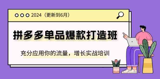 2024拼多多单品爆款打造班，充分应用你的流量，增长实战培训(更新6月)-阿良资源网