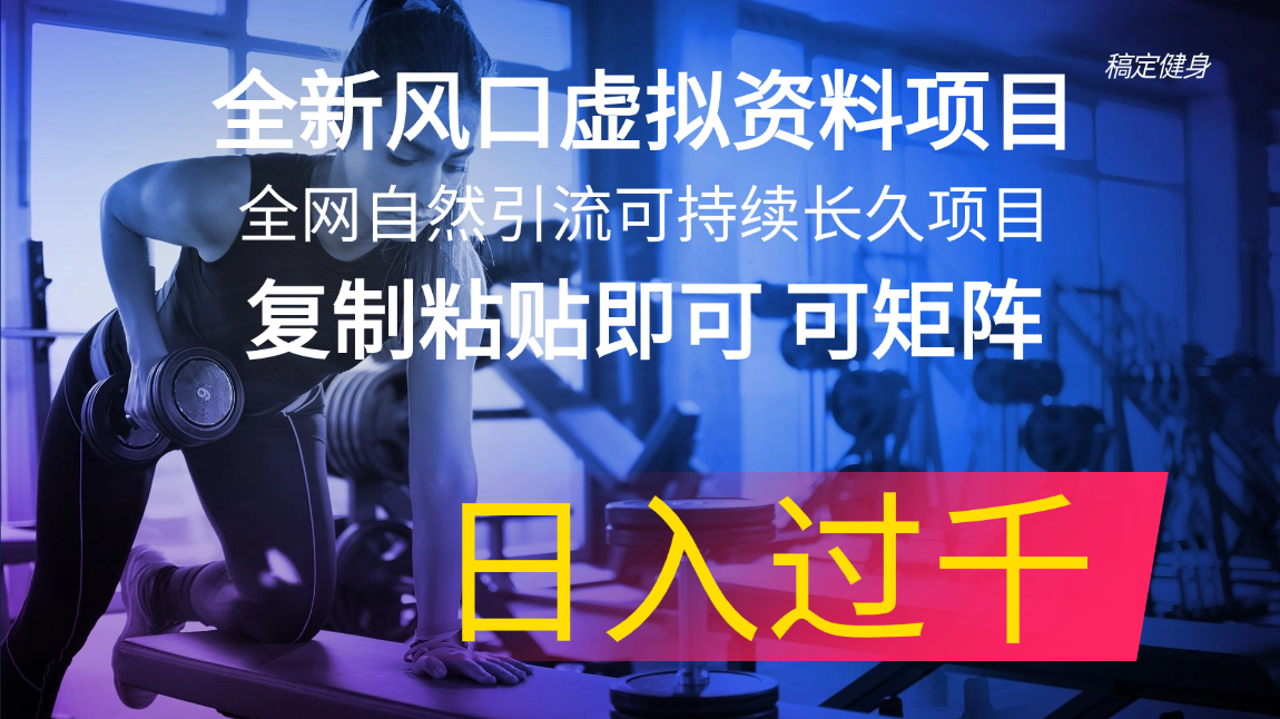 （11587期）全新风口虚拟资料项目 全网自然引流可持续长久项目 复制粘贴即可可矩阵…-阿良资源网