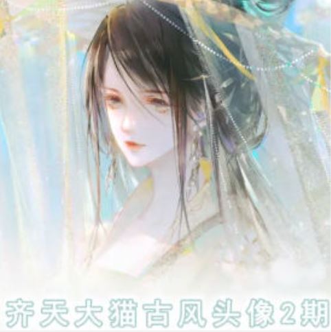 齐天大猫古风头像课第2期，帮助您提高您的绘画技能-阿良资源网