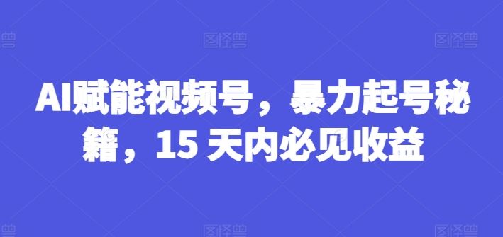 AI赋能视频号，暴力起号秘籍，15 天内必见收益【揭秘】-阿良资源网