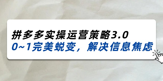 （11658期）2024_2025拼多多实操运营策略3.0，0~1完美蜕变，解决信息焦虑（38节）-阿良资源网