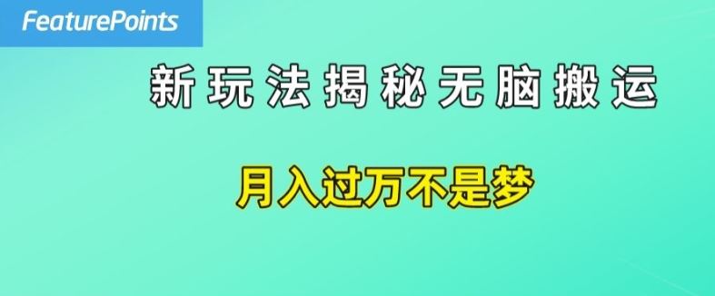 简单操作，每天50美元收入，搬运就是赚钱的秘诀【揭秘】-阿良资源网