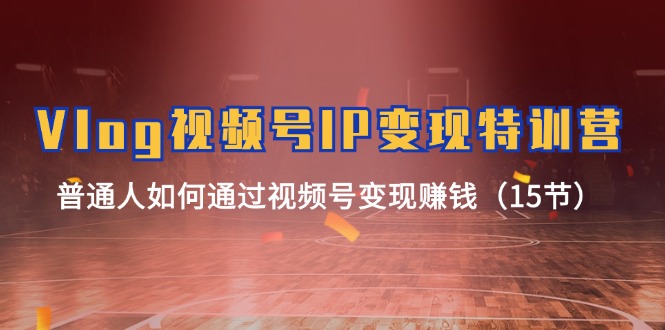 Vlog视频号IP变现特训营，普通人如何通过视频号变现赚钱（15节）-阿良资源网