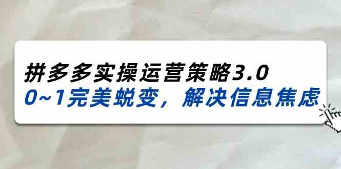 2024-2025拼多多实操运营策略3.0，0~1完美蜕变，解决信息焦虑（38节）-阿良资源网