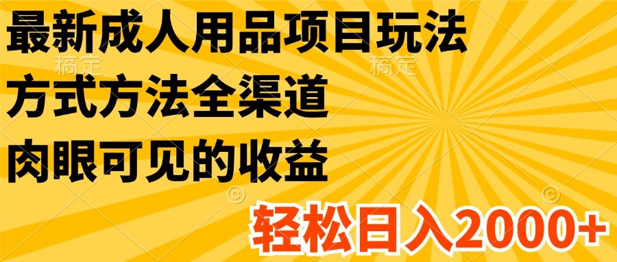 最新成人用品项目玩法，方式方法全渠道，肉眼可见的收益，轻松日入2000+-阿良资源网