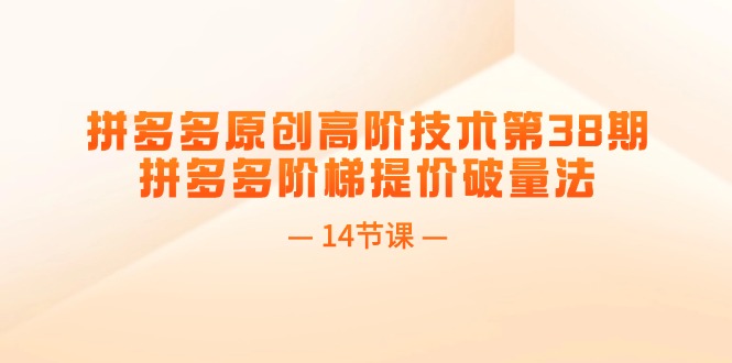 （11704期）拼多多原创高阶技术第38期，拼多多阶梯提价破量法（14节课）-阿良资源网