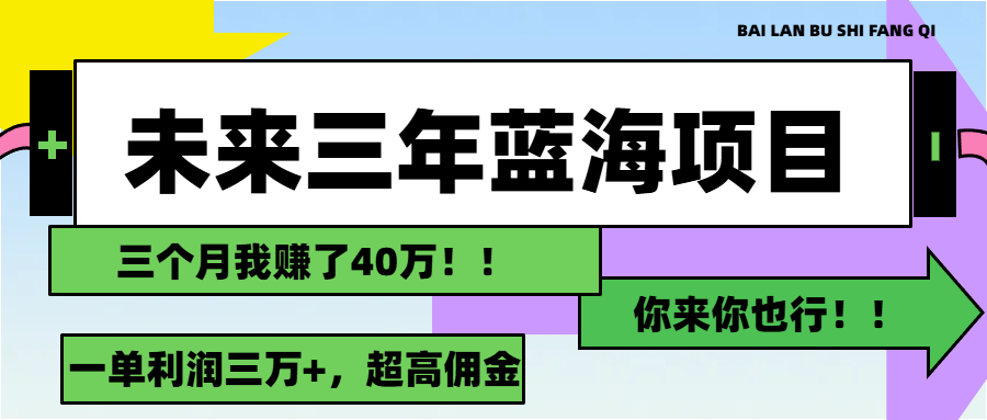 （11716期）未来三年，蓝海赛道，月入3万+-阿良资源网