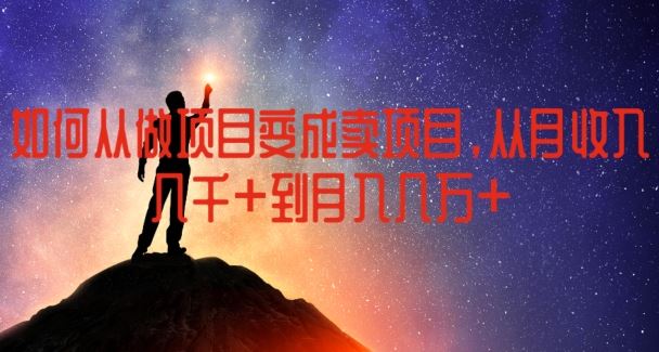 如何从做项目变成卖项目，从月收入几千到月入几万【揭秘】-阿良资源网