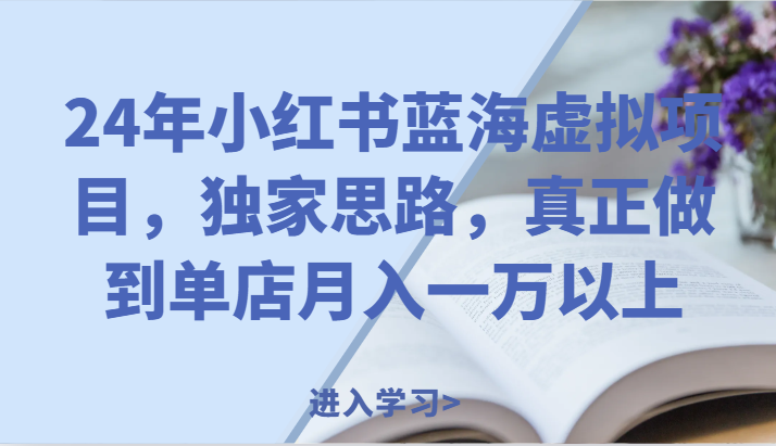 24年小红书蓝海虚拟项目，独家思路，真正做到单店月入一万以上。-阿良资源网