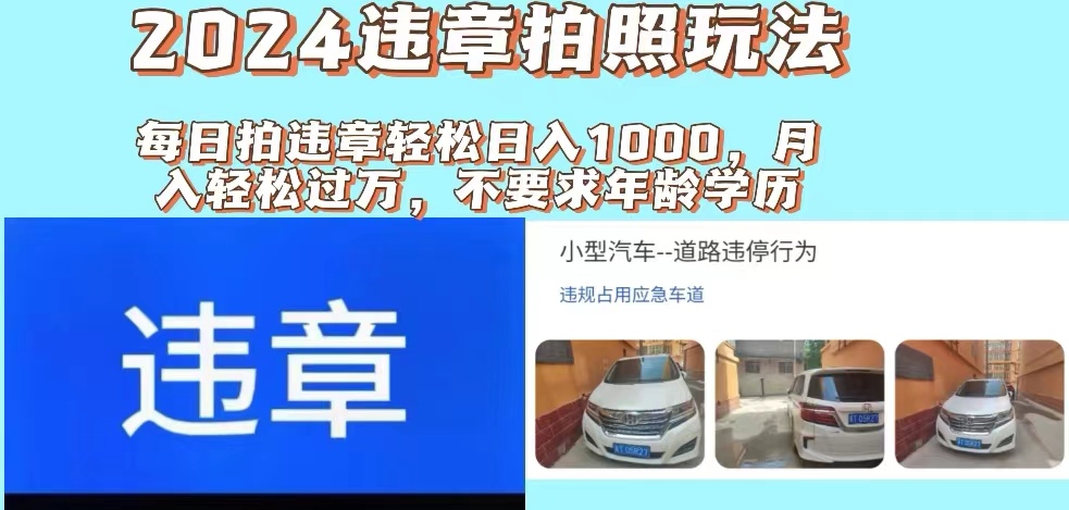 （11743期）2024违章拍照新玩法，推广躺赚+拍照赚钱双模式，日入1000+-阿良资源网