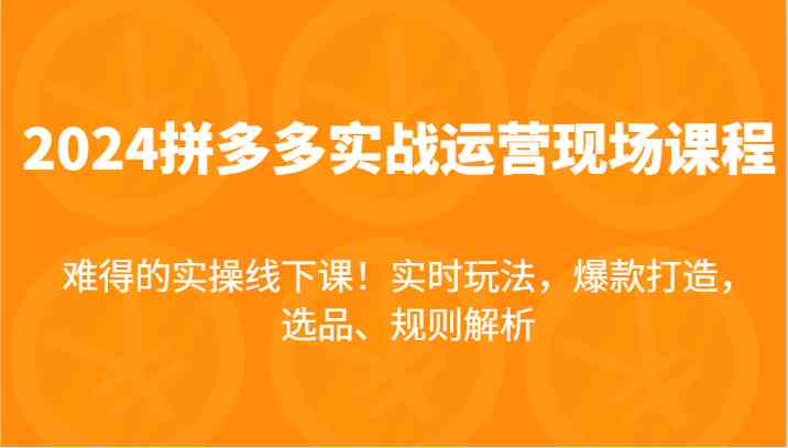 2024拼多多实战运营现场课，实时玩法，爆款打造，选品、规则解析，难得的实操线下课！-阿良资源网