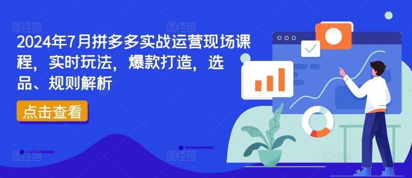 2024年7月拼多多实战运营现场课程，实时玩法，爆款打造，选品、规则解析-阿良资源网