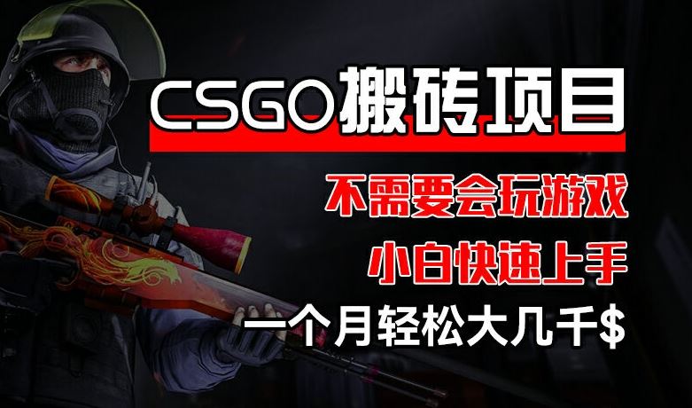 CSGO 装备搬砖项目，操作简单，不需要会玩游戏，小白也能快速上手，一个月轻松大几千【揭秘】-阿良资源网