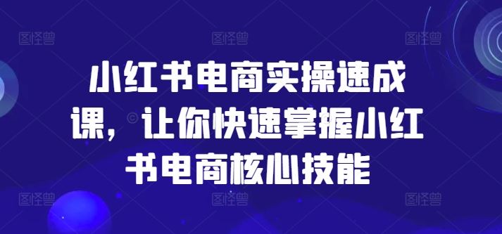 小红书电商实操速成课，让你快速掌握小红书电商核心技能-阿良资源网