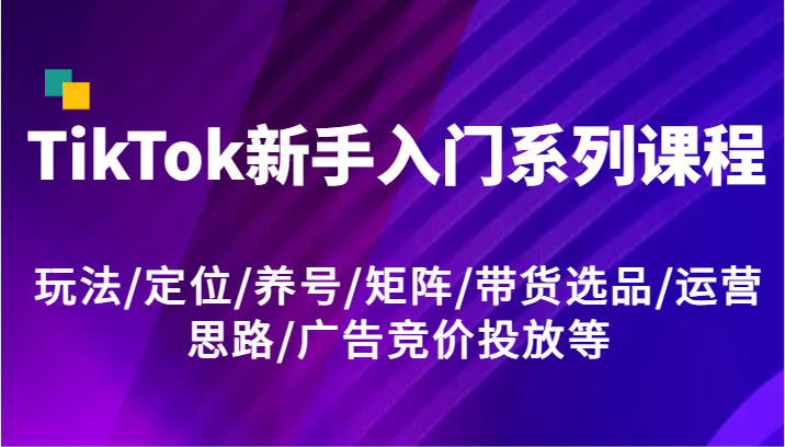 TikTok新手入门系列课程，玩法/定位/养号/矩阵/带货选品/运营思路/广告竞价投放等-阿良资源网