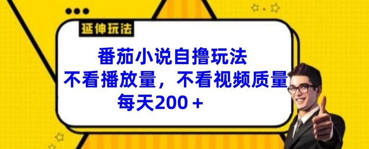 番茄小说自撸玩法，不看播放量，不看视频质量，每天200+【揭秘】-阿良资源网