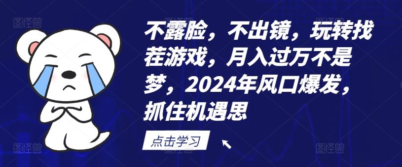 不露脸，不出镜，玩转找茬游戏，月入过万不是梦，2024年风口爆发，抓住机遇【揭秘】-阿良资源网
