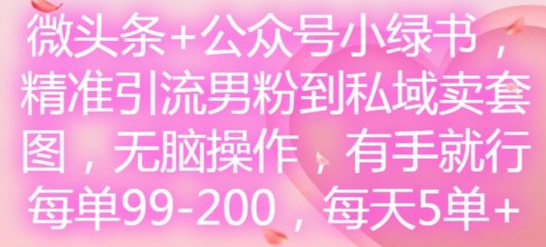 微头条+公众号小绿书，精准引流男粉到私域卖套图，无脑操作，有手就行，每单99-200，每天5单-阿良资源网