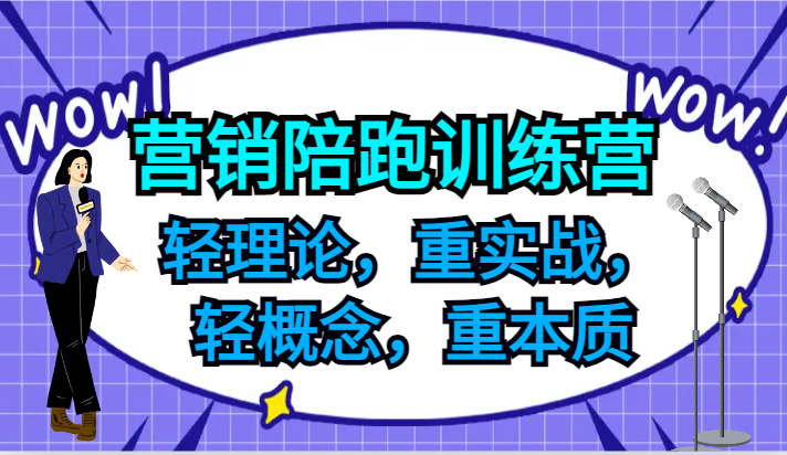 营销陪跑训练营，轻理论，重实战，轻概念，重本质，适合中小企业和初创企业的老板-阿良资源网