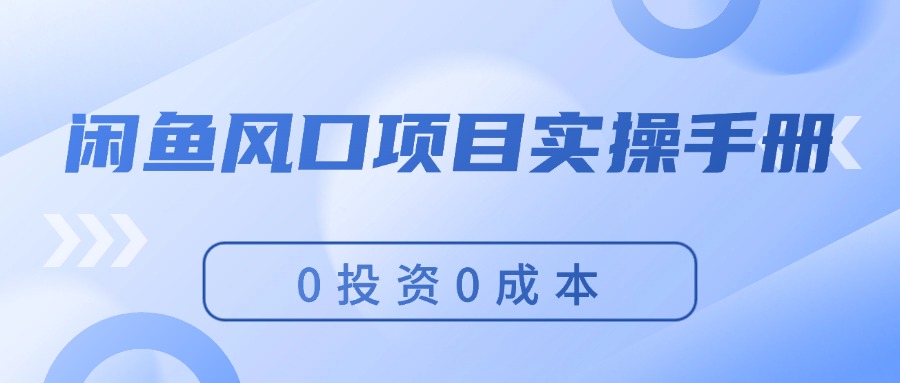 （11923期）闲鱼风口项目实操手册，0投资0成本，让你做到，月入过万，新手可做-阿良资源网