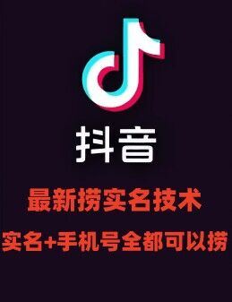 最新技术抖音捞实名+捞手机号技术，抖音直播封禁释放十名/手机号，直接替换出来!-阿良资源网