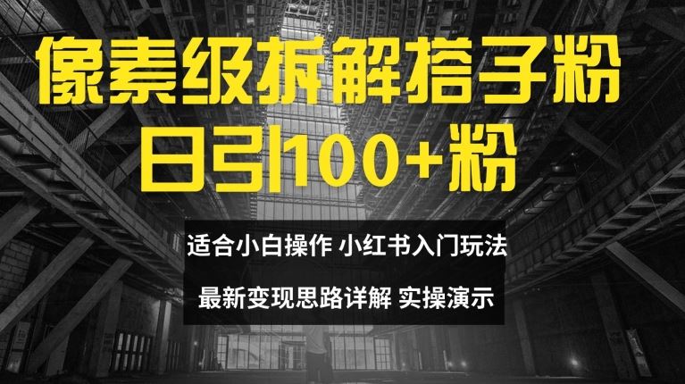 像素级拆解搭子粉，日引100+，小白看完可上手，最新变现思路详解【揭秘】-阿良资源网