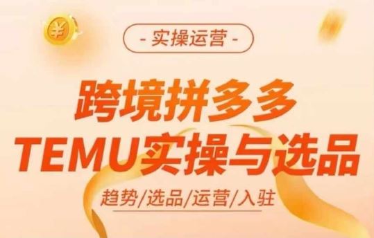 跨境拼多多TEMU实操与选品，多多temu跨境选品运营实操-阿良资源网
