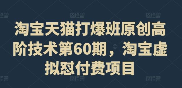 淘宝天猫打爆班原创高阶技术第60期，淘宝虚拟怼付费项目-阿良资源网