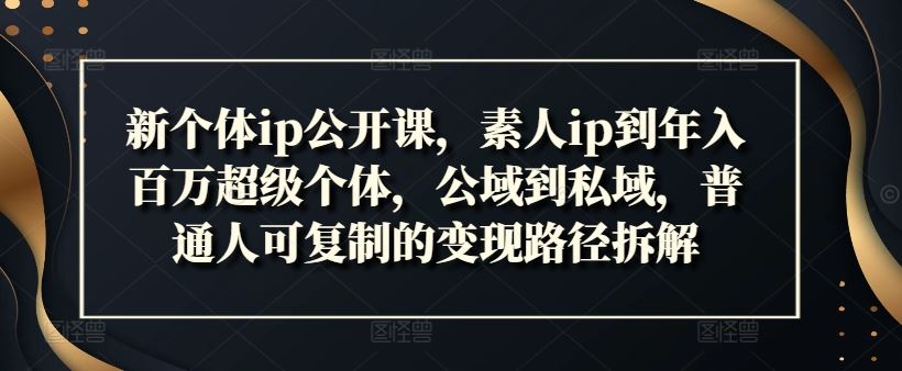 新个体ip公开课，素人ip到年入百万超级个体，公域到私域，普通人可复制的变现路径拆解-阿良资源网