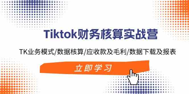 Tiktok财务核算实战营：TK业务模式/数据核算/应收款及毛利/数据下载及报表-阿良资源网