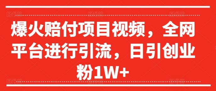 爆火赔付项目视频，全网平台进行引流，日引创业粉1W+【揭秘】-阿良资源网