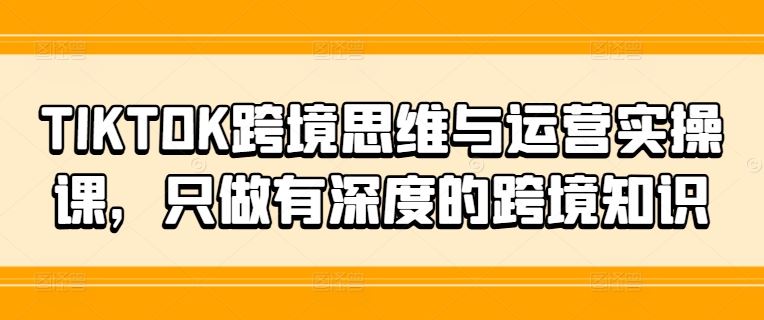 TIKTOK跨境思维与运营实操课，只做有深度的跨境知识-阿良资源网