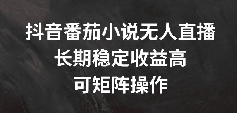 抖音番茄小说无人直播，长期稳定收益高，可矩阵操作【揭秘】-阿良资源网