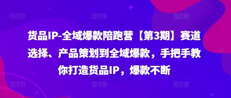货品IP全域爆款陪跑营【第3期】赛道选择、产品策划到全域爆款，手把手教你打造货品IP，爆款不断-阿良资源网