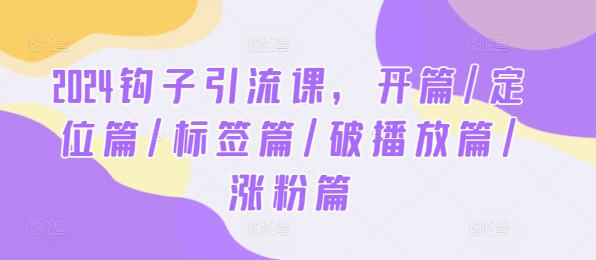 2024钩子引流课，开篇/定位篇/标签篇/破播放篇/涨粉篇-阿良资源网