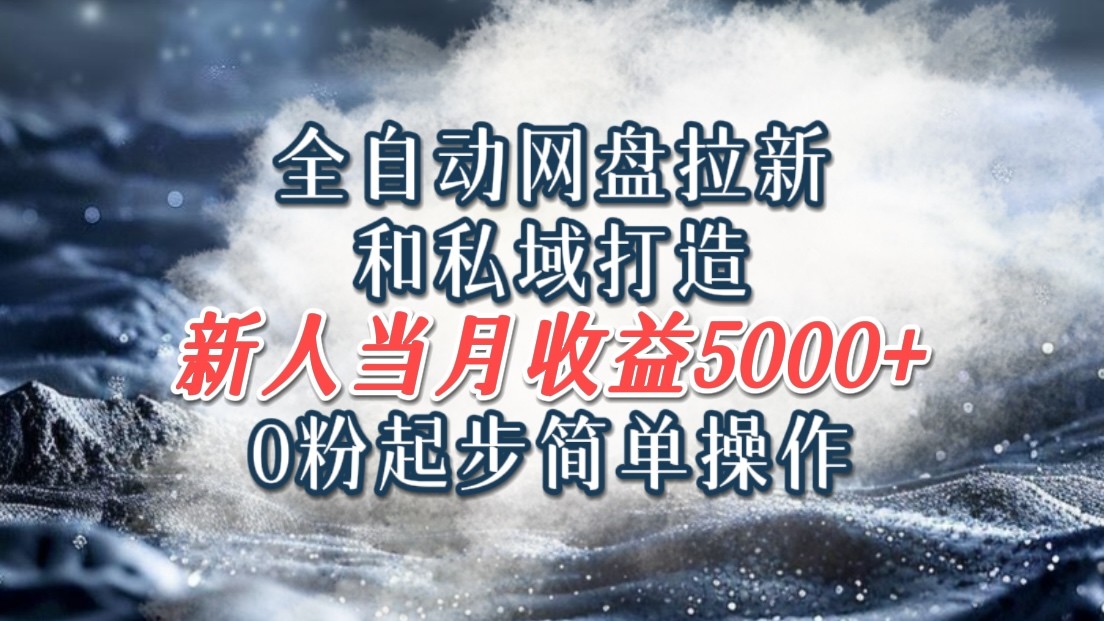 全自动网盘拉新和私域打造，0粉起步简单操作，新人入门当月收益5000以上-阿良资源网