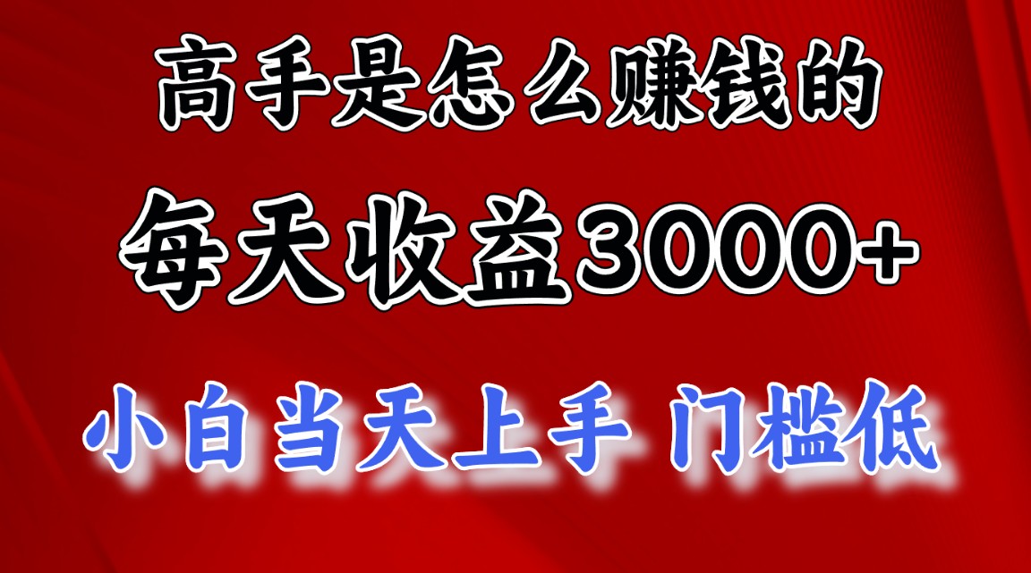 （12144期）1天收益3000+，月收益10万以上，24年8月份爆火项目-阿良资源网