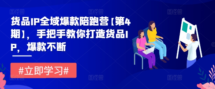 货品IP全域爆款陪跑营【第4期】，手把手教你打造货品IP，爆款不断-阿良资源网