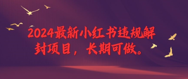 2024最新小红书违规解封项目，长期可做，一个可以做到退休的项目-阿良资源网