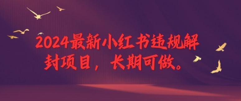 2024最新小红书违规解封项目，长期可做，一个可以做到退休的项目【揭秘】-阿良资源网
