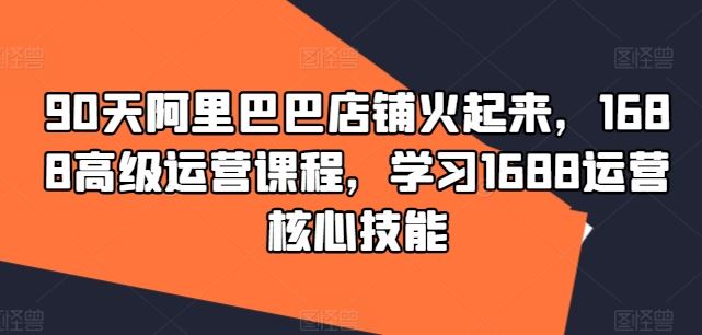 90天阿里巴巴店铺火起来，1688高级运营课程，学习1688运营核心技能-阿良资源网
