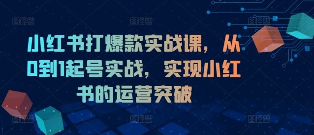 小红书打爆款实战课，从0到1起号实战，实现小红书的运营突破-阿良资源网