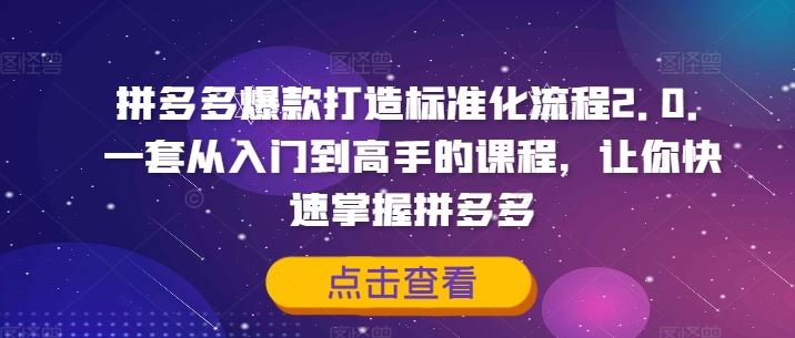 拼多多爆款打造标准化流程2.0，一套从入门到高手的课程，让你快速掌握拼多多-阿良资源网