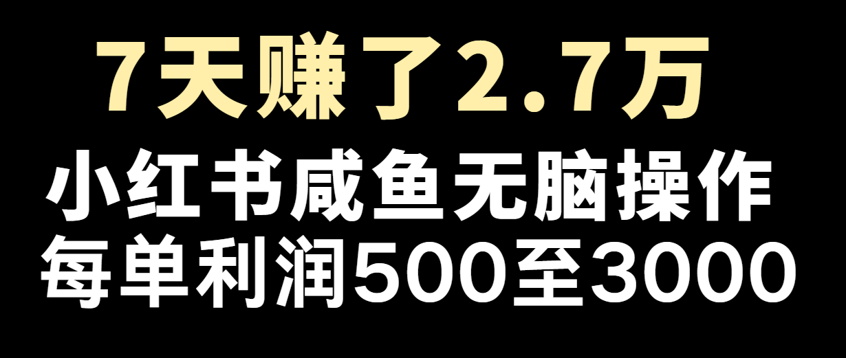 七天赚了2.7万！每单利润最少500+，轻松月入5万+小白有手就行-阿良资源网